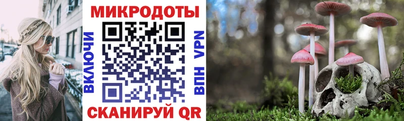 Псилоцибиновые грибы прущие грибы  даркнет сайт  Калач-на-Дону 
